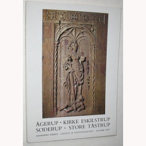 Danmarks kirker - Holbk Amt - bind 4