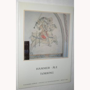 Danmarks kirker - rhus Amt - bind 46