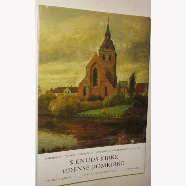 Danmarks kirker - Odense Amt - indledning