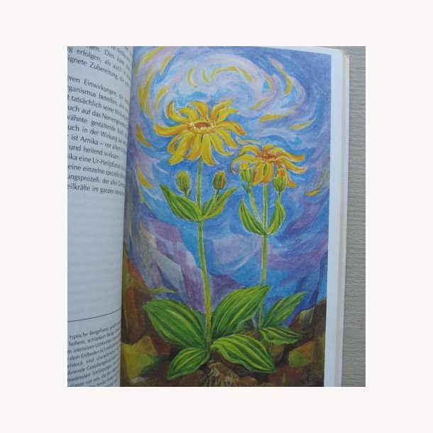 Weleda Almanach - Weleda Schriftenreih 13