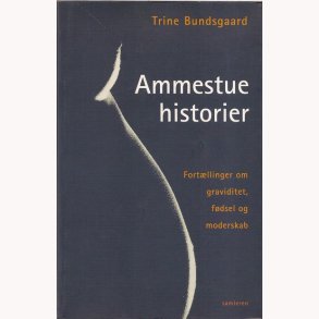 Ammestuehistorier