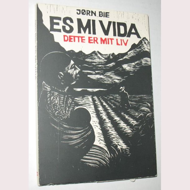 Es Mi Vida - Detter er mit liv