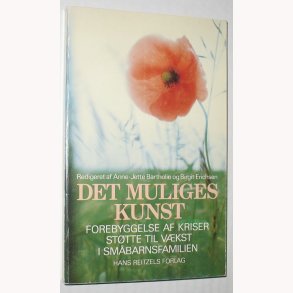 Det muliges kunst - Forebyggelse af kriser