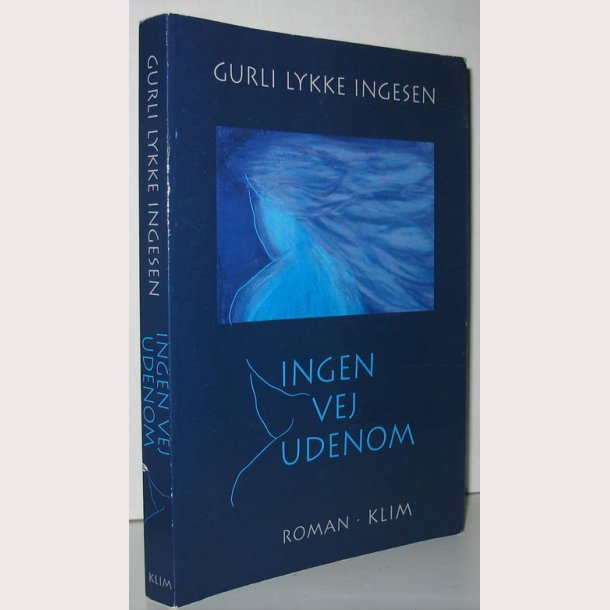 Ingen vej udenom