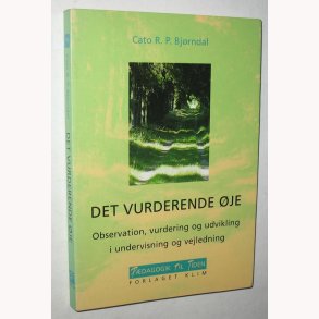Det vurderende je