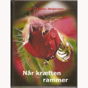 Nr krften rammer