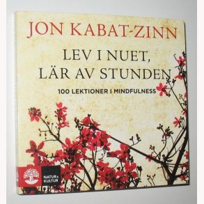 Lev i nuet, lär av stunden