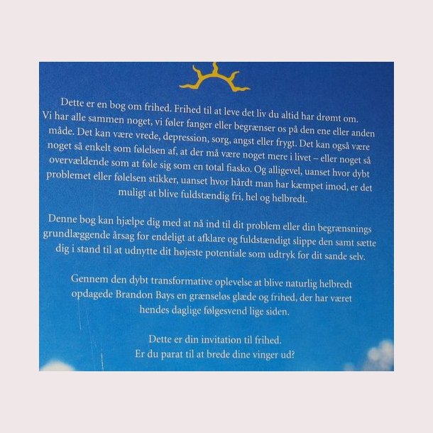 Rejsen - The journey: Brandon Bays