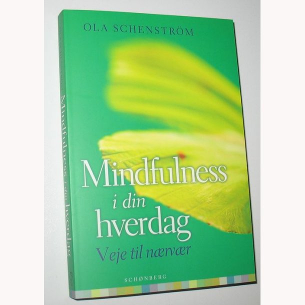 Mindfulness i din hverdag + CD