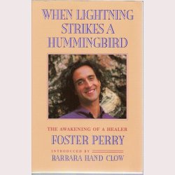 When Lightning strikes a Hummingbird