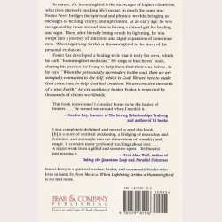 When Lightning strikes a Hummingbird