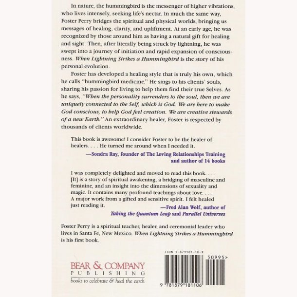 When Lightning strikes a Hummingbird