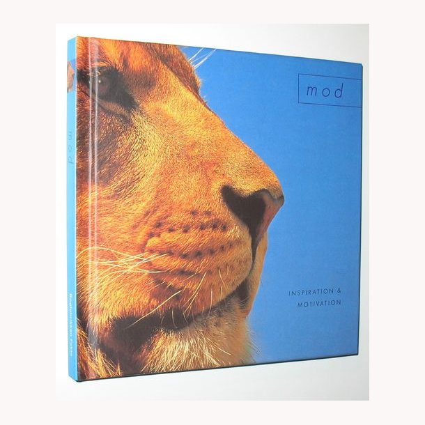 Mod - inspiration &amp; motivation