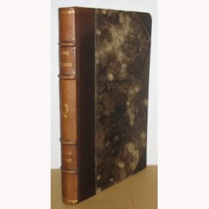 Julius Lange - Breve fra hans ungdom