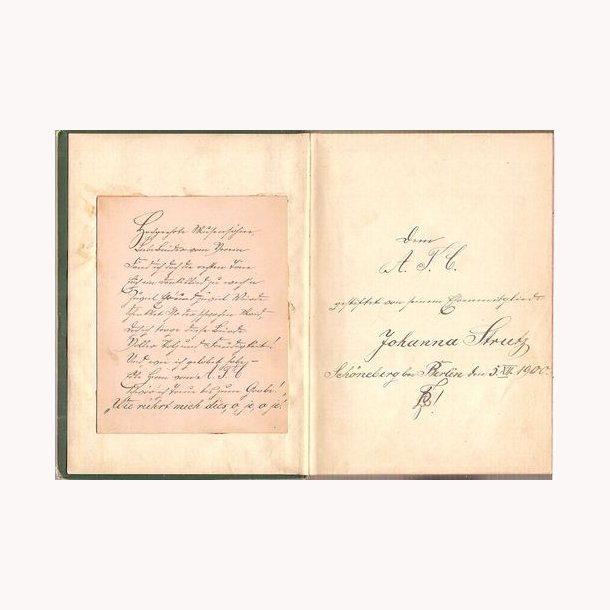 Gaudeamus Igitur Juvenes Dum Sumus!