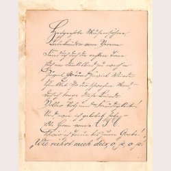 Gaudeamus Igitur Juvenes Dum Sumus!