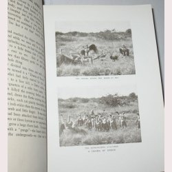 Through Central Africa, From East to West