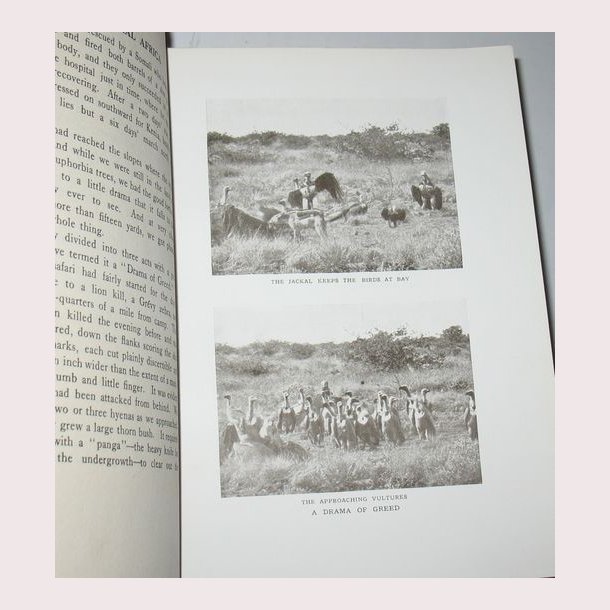 Through Central Africa, From East to West