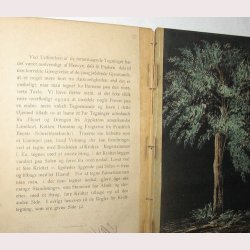 Anskuelsesundervisning - haandbog for lrere