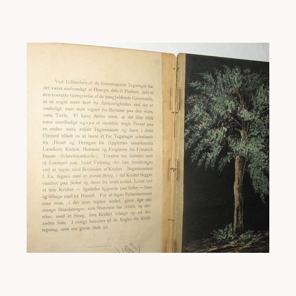 Anskuelsesundervisning - haandbog for lrere