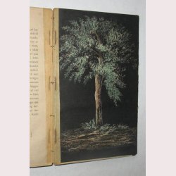 Anskuelsesundervisning - haandbog for lrere