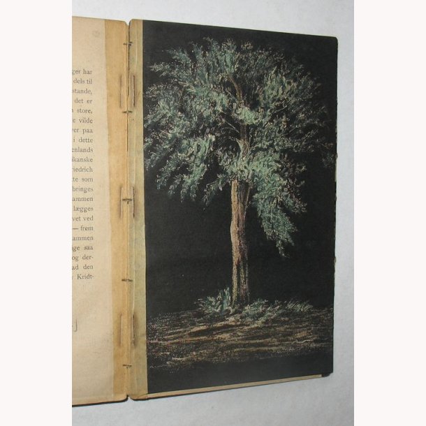 Anskuelsesundervisning - haandbog for lrere