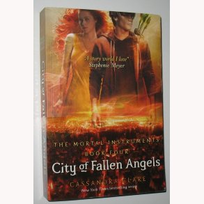 City of Fallen Angels