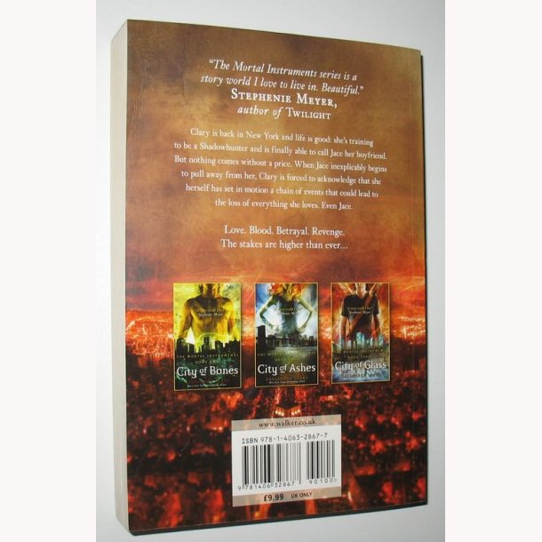 City of Fallen Angels