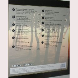 Musik i sommernatten