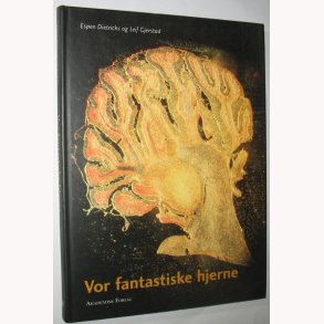 Vor fantastiske hjerne