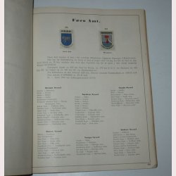 Herreds- By og Birke Vaaben