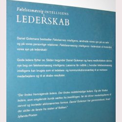 Flelsesmssig intelligens i lederskab