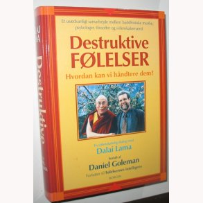 Destruktive flelser - hvordan vi hndterer dem?