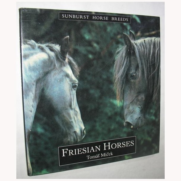 Friesian Horses