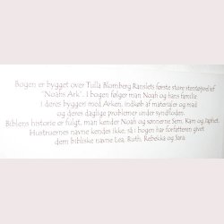 Arken - hvordan Noa byggede den