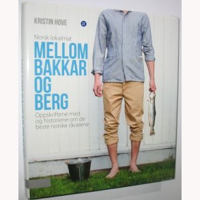 Mellom Bakkar og Berg