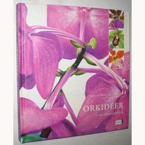 Orkideer - en introduktion