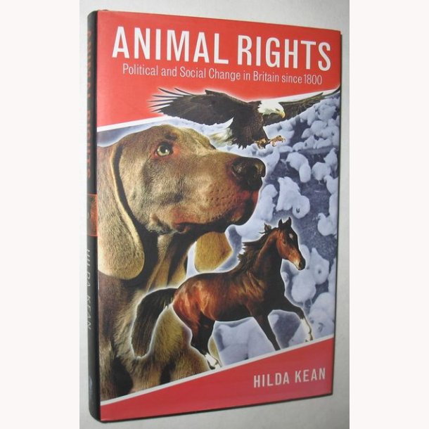 Animal Rights