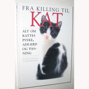 Fra killing til kat