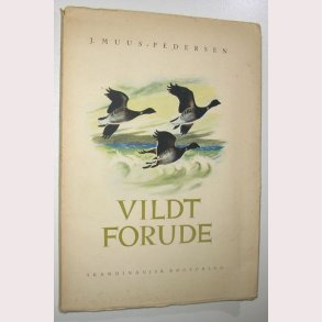 Vildt forude