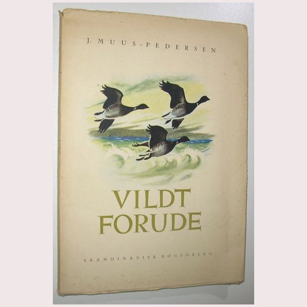 Vildt forude