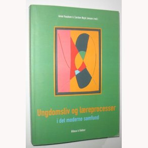 Ungdomsliv og lreprocesser