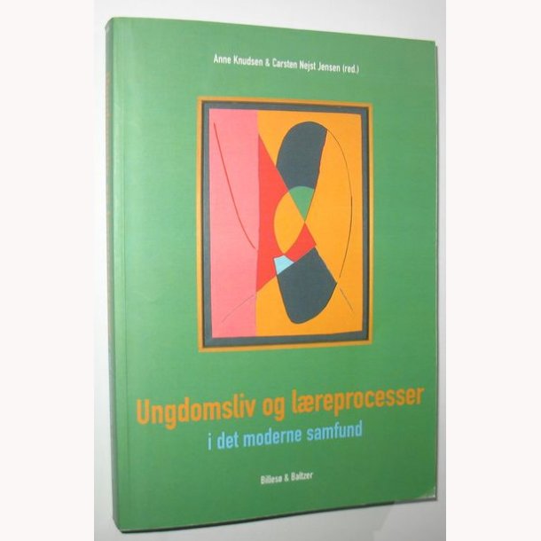 Ungdomsliv og lreprocesser