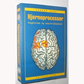 Hjerneprocesser