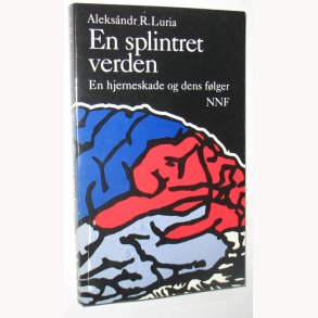 En splintret verden