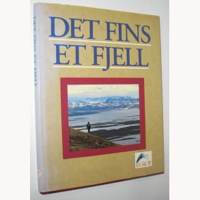 Det fins et fjell