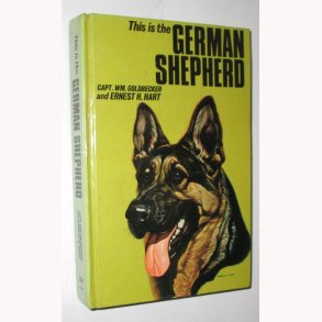 This is the German Sheppherd