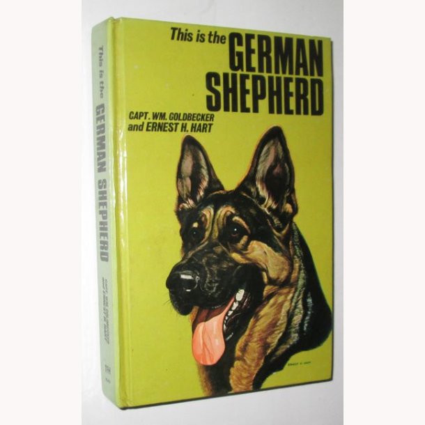 This is the German Sheppherd