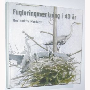 Fuglemrkning i 40 r - med bud fra Nordvest