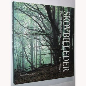 Skovbilleder fra en svunden tid